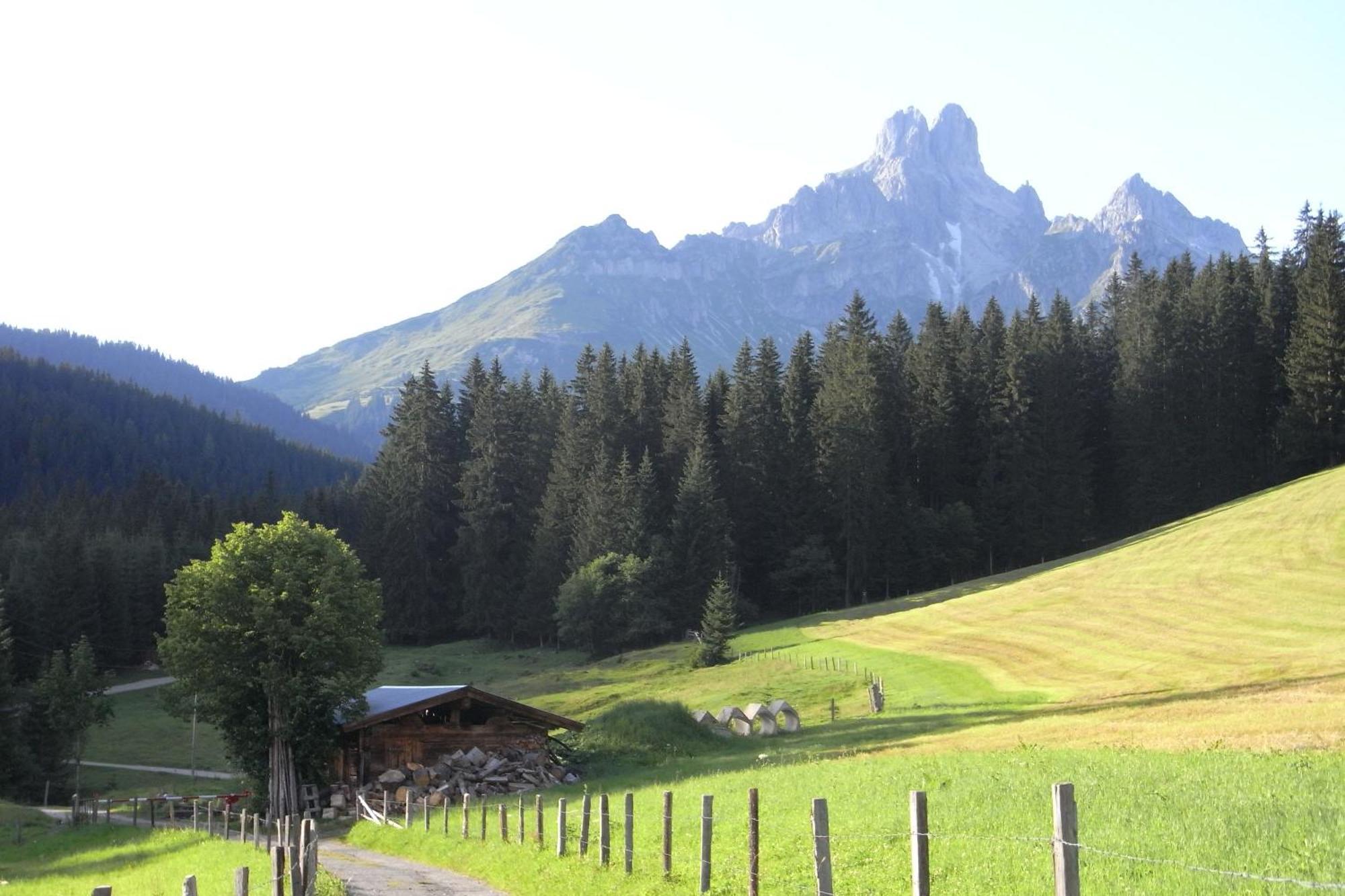 Aparthaus Birkenheim Filzmoos Exterior foto